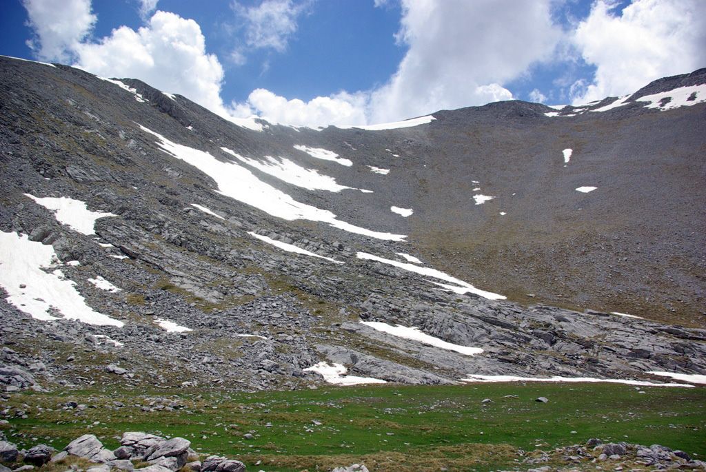 Sconosciuto myxo nivicolous da Olympos